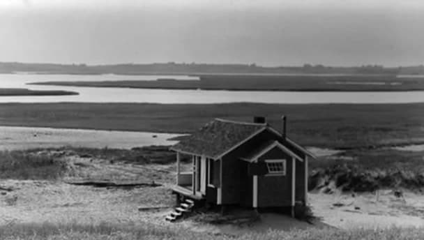 Author header background