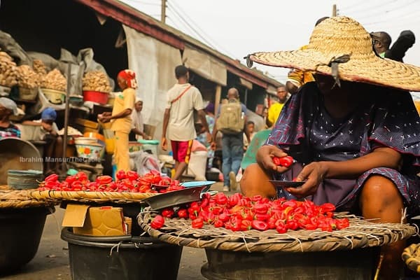 Toxic exposure and the true cost of cheap food